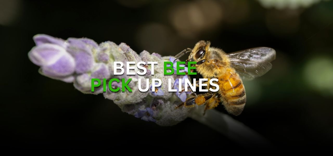 60+ Sweet Bee Pick Up Lines to Charm Your Crush