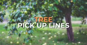 tree pick up lines