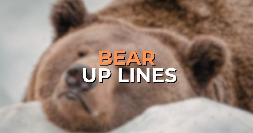 Bear Pick Up Lines