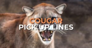 Cougar Pick Up Lines