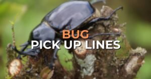 bug pick up lines