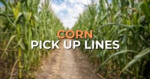 Corn Pick Up Lines