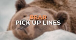 Bear pick up lines